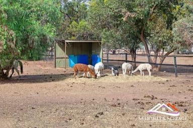 Property 11 Reed Road, Hillier SA 5116 IMAGE 0