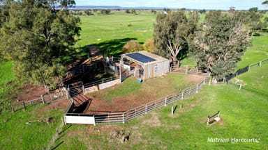 Property 271 Mayfield Road, BEERMULLAH WA 6503 IMAGE 0