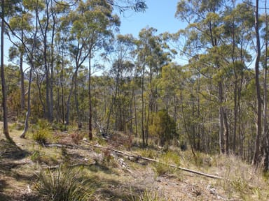 Property Lot 9 Bull Oak Way, GROVE TAS 7109 IMAGE 0