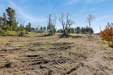 Property Lot 1 & 2, Byrnes Street, NERRIGUNDAH NSW 2545 IMAGE 0