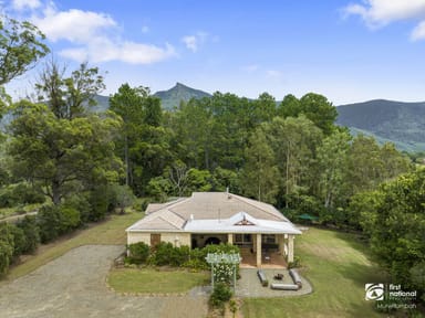 Property 346 Pinnacle Road, Pumpenbil NSW 2484 IMAGE 0