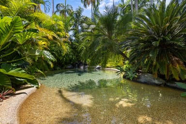 Property 63 Reef Street, Port Douglas QLD 4877 IMAGE 0