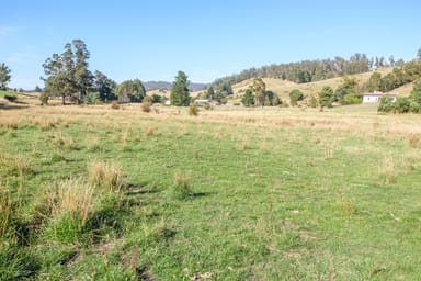 Property Lot 1 Slab Road, CYGNET TAS 7112 IMAGE 0