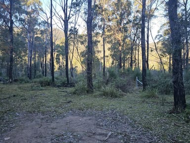 Property Lot Lot C, 650 Yankees Gap Road, BEMBOKA NSW 2550 IMAGE 0