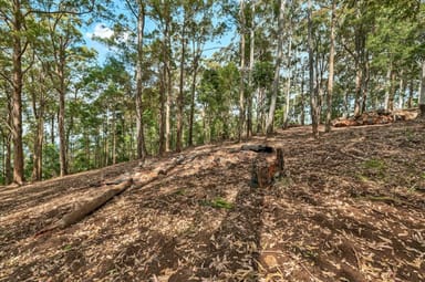 Property 518 Beechmont Road, Lower Beechmont QLD 4211 IMAGE 0