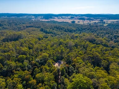 Property Lot 16 Lower Bobo Road, Ulong NSW 2450 IMAGE 0