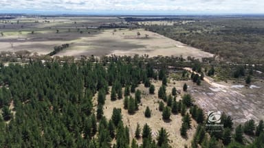 Property Lot 3 Carrs Creek Road, Longford VIC 3851 IMAGE 0