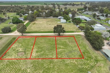 Property 46, 49, 50 Third Street, Frances SA 5262 IMAGE 0