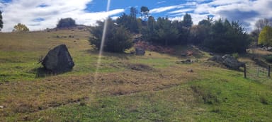 Property Lot 2/1302507 Wyndham St, Adelong NSW 2729 IMAGE 0