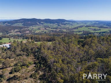 Property 691a Brown Mountain Road, Karoola TAS 7248 IMAGE 0