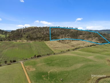 Property 212 Middle Tea Tree Road, RICHMOND TAS 7025 IMAGE 0