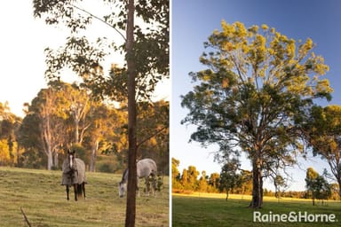 Property Lot 42 Pointer Road, Yatte Yattah NSW 2539 IMAGE 0