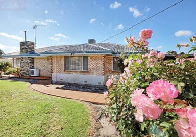 Property 117 Earl Street, Narrogin WA 6312 IMAGE 0