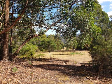 Property Lot 5 Liddells Road, CRABTREE TAS 7109 IMAGE 0