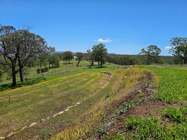 Property 11 Purdon Court, Sladevale QLD 4370 IMAGE 0