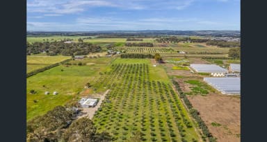 Property 1659 Boundary Road, Gawler River SA 5118 IMAGE 0