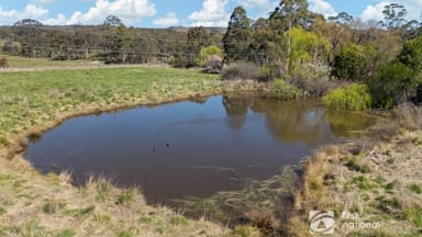 Property 173 McMurrays Lane, Windeyer NSW 2850 IMAGE 0