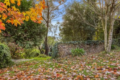 Property 43 Shortland Street, Wentworth Falls NSW 2782 IMAGE 0