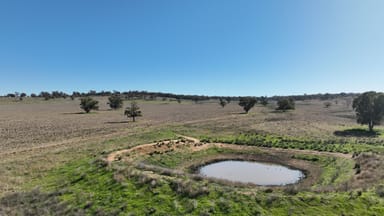 Property 1724 Leaders Road, Binnaway NSW 2395 IMAGE 0