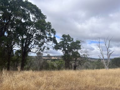 Property Lot, 62 Crossman Road, Boddington WA 6390 IMAGE 0