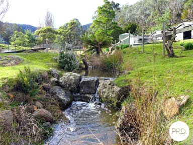 Property 99 McKenzies Road, Molesworth TAS 7140 IMAGE 0