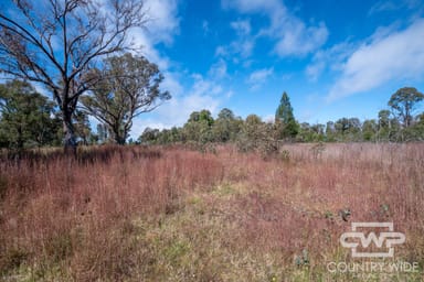 Property 11, 2530 Torrington Road, TORRINGTON NSW 2371 IMAGE 0