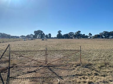 Property Lot 111 Cook Street, Daysdale NSW 2646 IMAGE 0