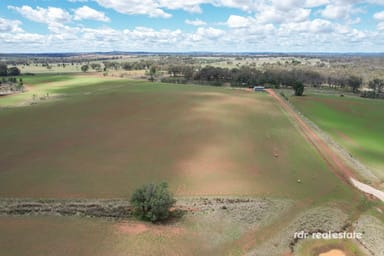 Property Lot 331, 647 Mount Russell Road, Inverell NSW 2360 IMAGE 0