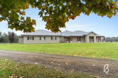 Property 1401 Bridgman Road, Singleton NSW 2330 IMAGE 0