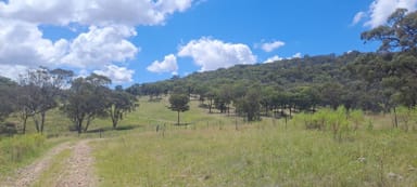 Property Lot 52, 2202 Wellington Vale Road, Emmaville NSW 2371 IMAGE 0