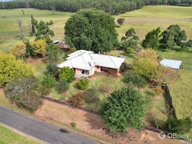 Property 267 Wairewa Road, Wairewa VIC 3887 IMAGE 0