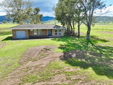 Property 41 Alfred Brown Lane, Scone NSW 2337 IMAGE 0