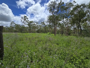 Property MOUNT GARNET QLD 4872 IMAGE 0