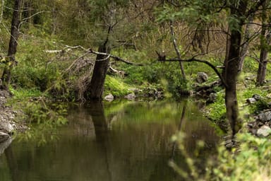 Property McPhersons Country Estates, Enfield Range Road, Cells River NSW 2424 IMAGE 0