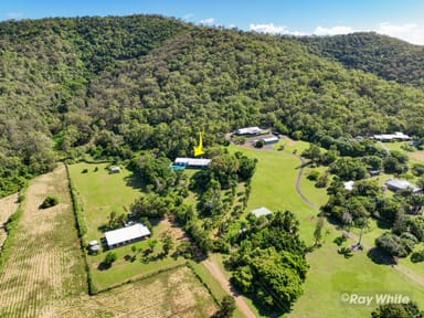 Property 43 Howes Road, Farnborough QLD 4703 IMAGE 0
