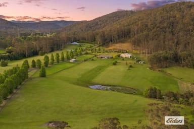 Property 41 Amber Lane, Wyong Creek NSW 2259 IMAGE 0