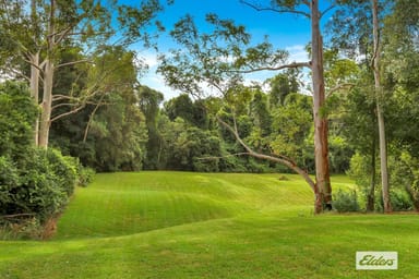 Property 1652 Yarramalong Road, Yarramalong NSW 2259 IMAGE 0