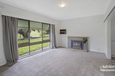 Property 1220 Williams Road, Scotts Creek VIC 3267 IMAGE 0