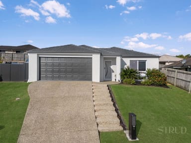 Property 11 Starlight Court, Springfield QLD 4300 IMAGE 0