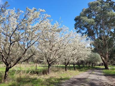 Property 153 Christies Road, Thornton VIC 3712 IMAGE 0