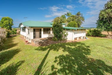 Property 1 Mizzi Road, South Johnstone QLD 4859 IMAGE 0