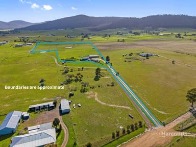 Property 87 Branders Road, ORIELTON TAS 7172 IMAGE 0