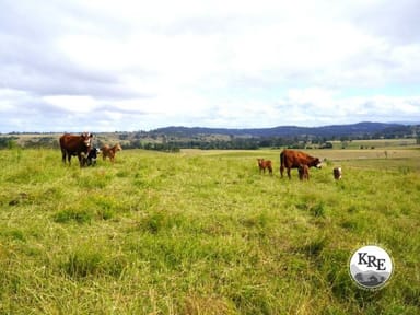 Property 65 Webbs Rd, Kyogle NSW 2474 IMAGE 0