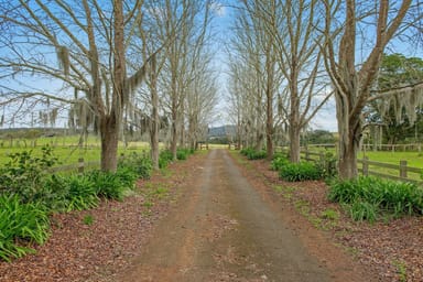 Property 114 Hartys Plains Road, Hartys Plains NSW 2446 IMAGE 0