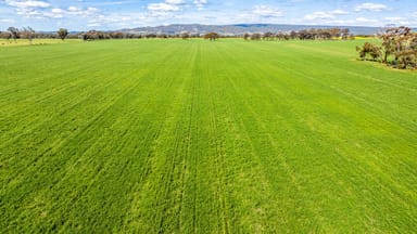 Property 1791 Olympic Highway, Culcairn NSW 2660 IMAGE 0