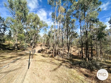 Property Lot 4 Tooma Road, Tumbarumba NSW 2653 IMAGE 0