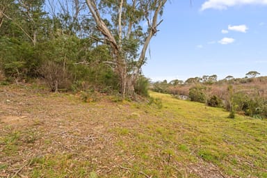 Property 193 Wyanbene Road, Wyanbene NSW 2622 IMAGE 0