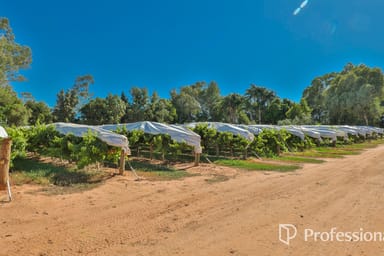 Property Level (Lot 2, PS911361M)/Cnr Twentieth Street & Boobook Avenue, Cardross VIC 3496 IMAGE 0