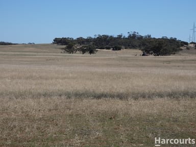 Property Yarto - Speed Road Speed Road, Patchewollock VIC 3491 IMAGE 0