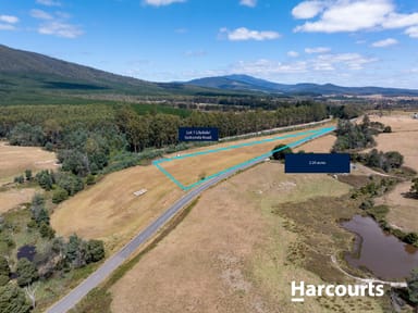 Property Lot 1 Golconda Road, BLUMONT TAS 7260 IMAGE 0